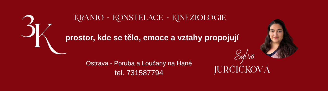 3K Sylva  Kranio-Konstelace-Kineziologii