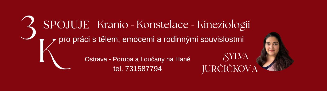 3K Sylva spojuje Kranio-Konstelace-Kineziologii