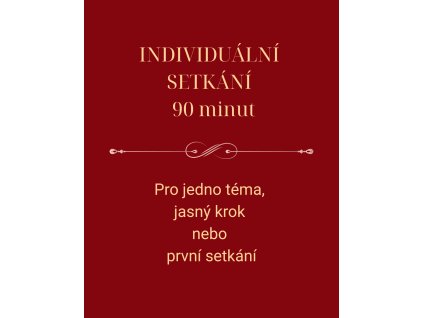 INDIVIDUÁLNÍ SETKÁNÍ-90min