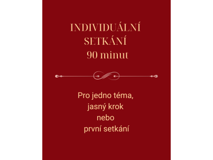 SETKÁNÍ SE SYLVOU -90min