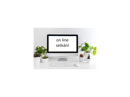 on line setkání