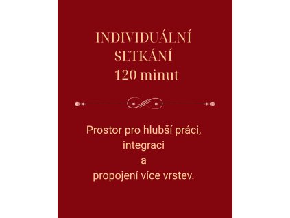 INDIVIDUÁLNÍ SETKÁNÍ-120min