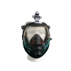 FF 601 fig1