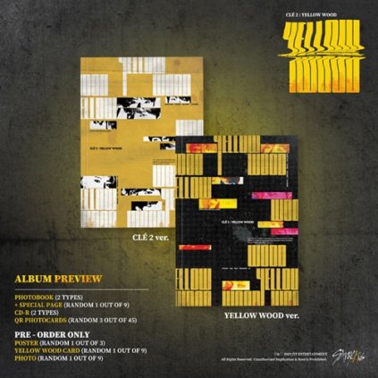 stray kids special album cle 2 yellow wood standard ver
