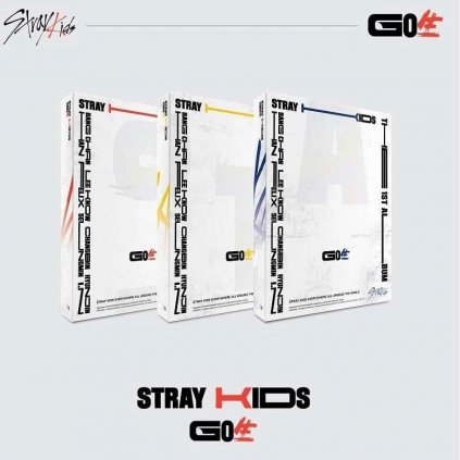 STRAY KIDS - GO生 GO LIVE