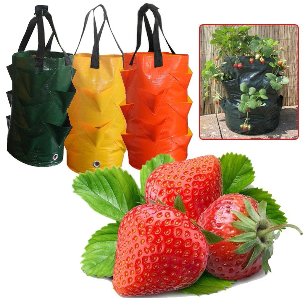 plant-growth-bag-multi-port-strawberry-p_main-0