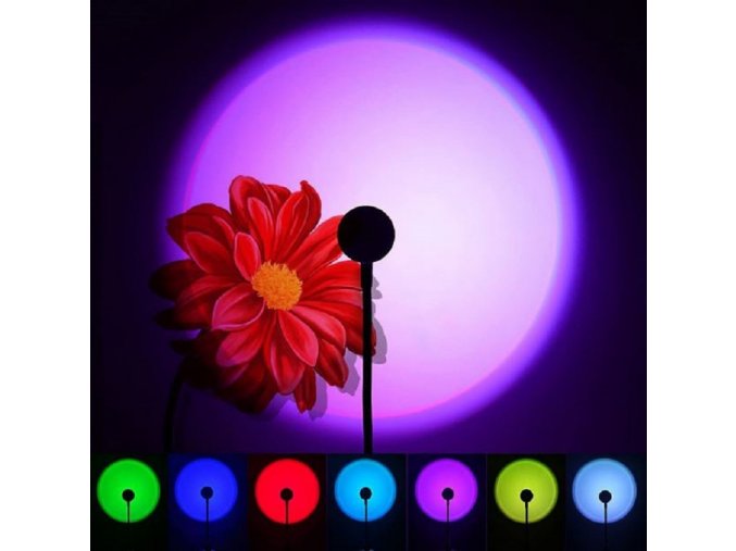 lamp