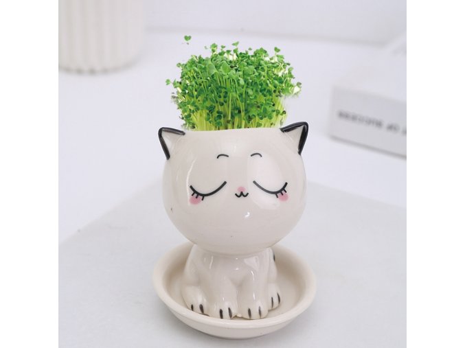 h6MnCeramic Flowerpot Mini Cat Shaped Cartoon Cute Potted Plant Desktop Potted Expression Cat Plant Pot Desk