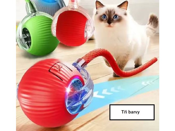 cat1