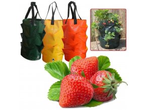 plant growth bag multi port strawberry p main 0