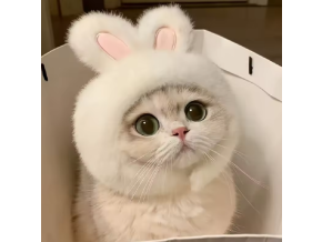 uš1