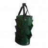 Green plant growth bag multi port strawberry p variants 1 (1)