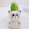 OFQVCeramic Flowerpot Mini Cat Shaped Cartoon Cute Potted Plant Desktop Potted Expression Cat Plant Pot Desk