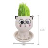 TsJSCeramic Flowerpot Mini Cat Shaped Cartoon Cute Potted Plant Desktop Potted Expression Cat Plant Pot Desk