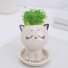 h6MnCeramic Flowerpot Mini Cat Shaped Cartoon Cute Potted Plant Desktop Potted Expression Cat Plant Pot Desk