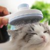 N3T5Pet Cat Brush Dog Comb Self Cleaning Slicker Brush For Cat Dog Hair Removes Tangled Pet