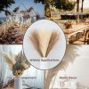 RILg55CM 5 10 20PCS Fluffy Pampas Grass Boho Decor Flower Fake Plant Reed Simulated Wedding Party