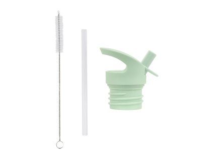 DBSSRE116 LR 1 Lid, straw & brush set Dinosaur