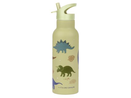 DBSXDI75 LR 1 SS XL drink bottle Dinosaurs
