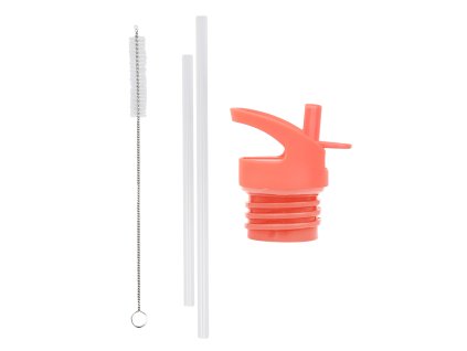 DBSSRE85 LR 1 Lid straw brush set Fun
