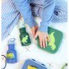 LBDIGR62 LR 6 Lunch box Dinosaur