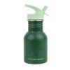 DBSMDI112 LR 2 Little stainless steel drink bottle Dinosaur
