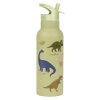 DBSXDI75 LR 2 SS XL drink bottle Dinosaurs