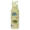 DBSXDI75 LR 1 SS XL drink bottle Dinosaurs
