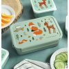 BBFFMI66 LR 4 Bento lunch box Forest friends