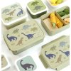 SBDIGR58 LR 5 Bento lunch box Dinosaurs