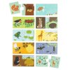 PGMPAH10 LR 2 Matching puzzle Animal habitats
