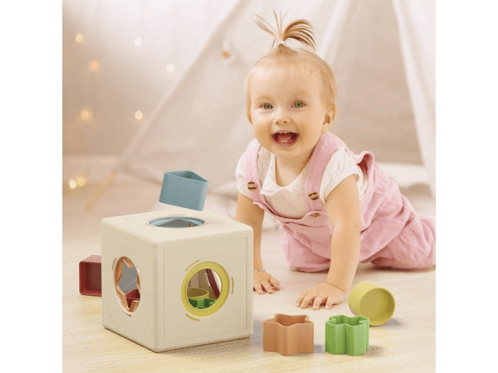 7899-1_playbio-kubo-shape