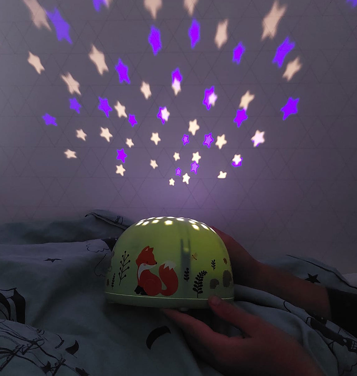 PLFFMC18-LR-6-Projector-light-Forest-Friends