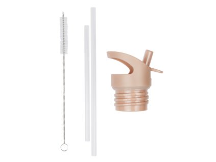 DBSSRE50 LR 1 Lid straw brush set Rainbows