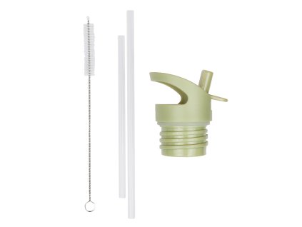 DBSSRE51 LR 1 Lid straw brush set Dinosaurs