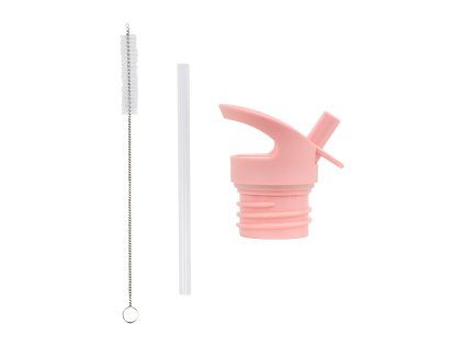DBSSRE117 LR 1 Lid, straw & brush set Shooting star