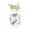 DBDIGR33 LR 2 Drink bottle Dinosaurs
