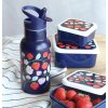 DBSSST69 LR 5 Stainless steel drink bottle Strawberries