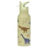 DBSXDI75 LR 3 SS XL drink bottle Dinosaurs