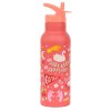 DBSXFU82 LR 2 SS XL drink bottle Fun