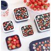SBSEST60 LR 7 Lunch & snack box set Strawberries