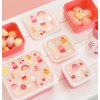 SBSEIC61 LR 6 Lunch & snack box set Ice cream