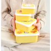 SBSEAF81 LR 11 Lunch & snack box set Animal friends