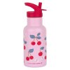 DBSSCH88 LR 2 Stainless steel drink bottle Cherries