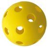 970160 PickleBallSet Ball 2