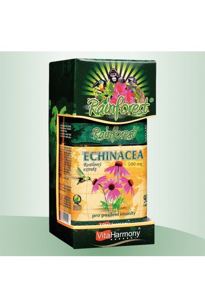 Echinacea