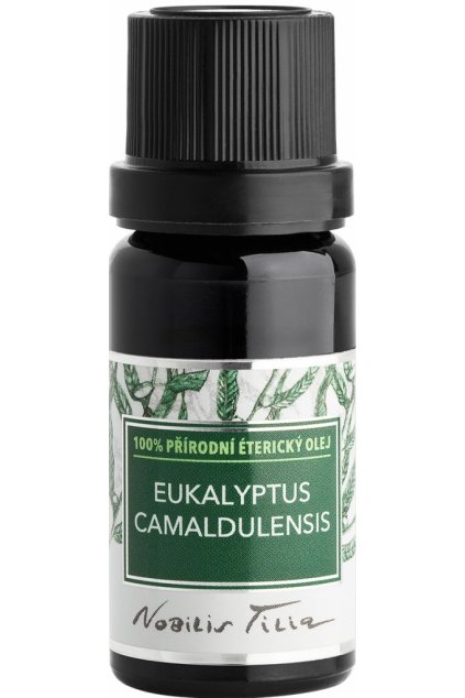 EUKALYPTUS CAMALDULENSIS