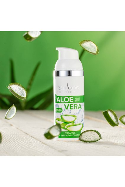 aloe 2