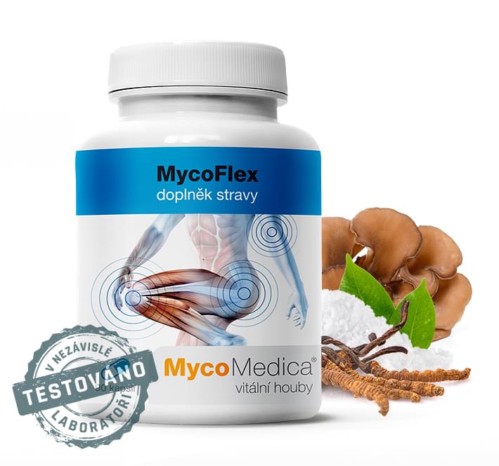 Mycomedica MycoFlex 90 kapslí