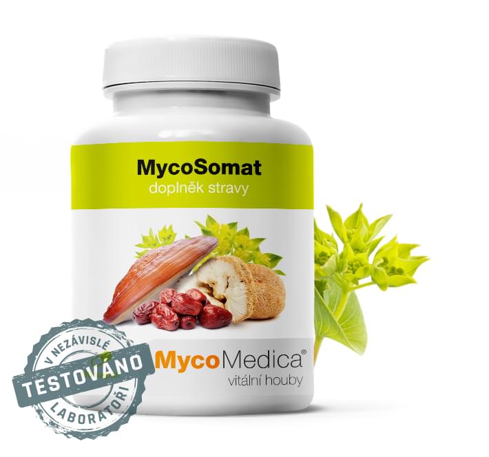 MycoMedica MycoSomat 90 tobolek